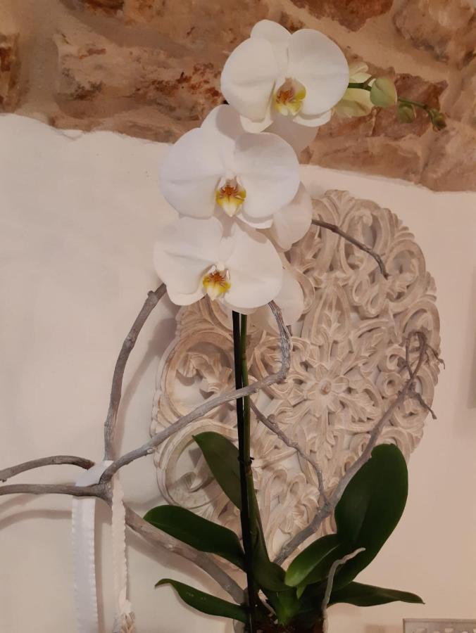 Donna Lucrezia Dimora A Corte B&B Conversano Dış mekan fotoğraf