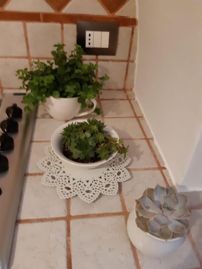 Donna Lucrezia Dimora A Corte B&B Conversano Dış mekan fotoğraf